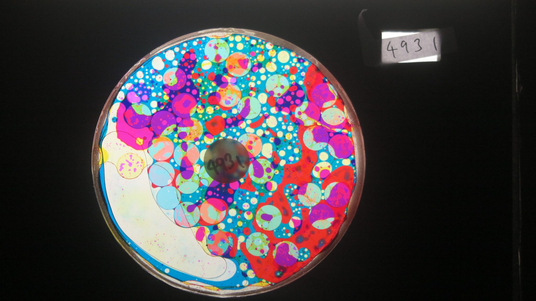 BV4931 bubble vision oil wheel